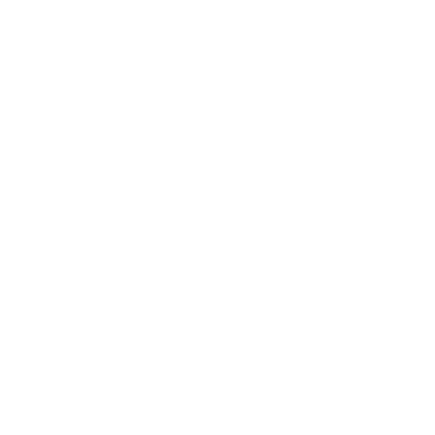 video icon